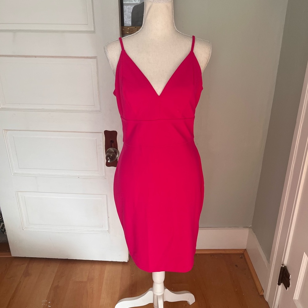 Express Pink Cocktail Dress